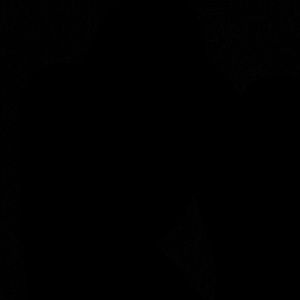 Meet your Posher, Brendan